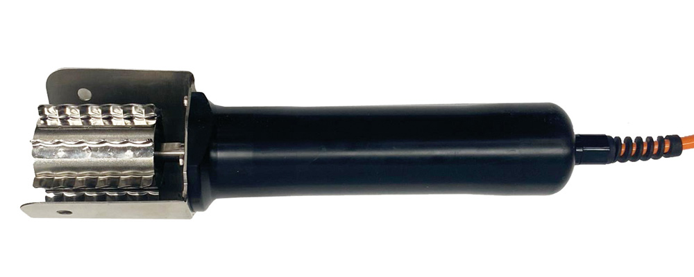 Fish descaling device